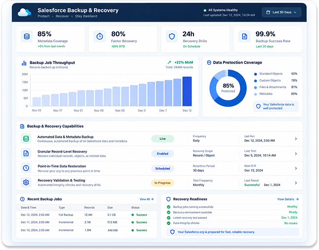Salesforce Backup and Recovery Services